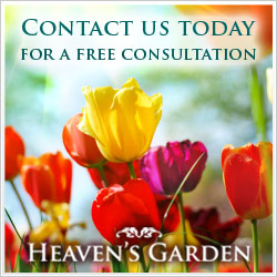 Heaven's Garden special offer